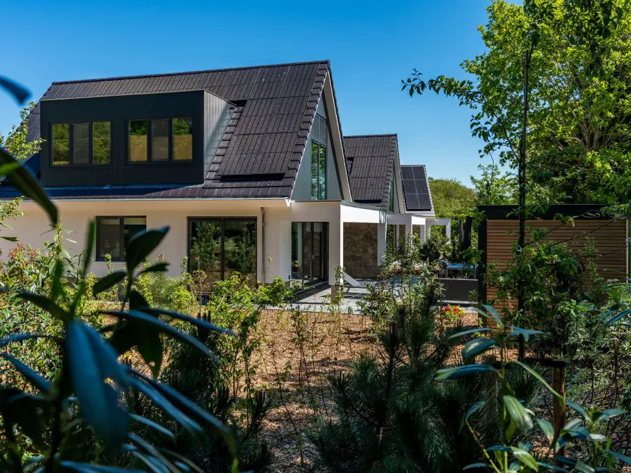 De Bruine Kiekendief