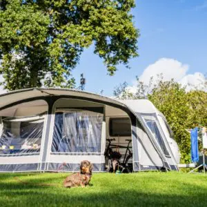 Kampeerterrein Woud - Comfortplaats max 8 meter (met huisdier)