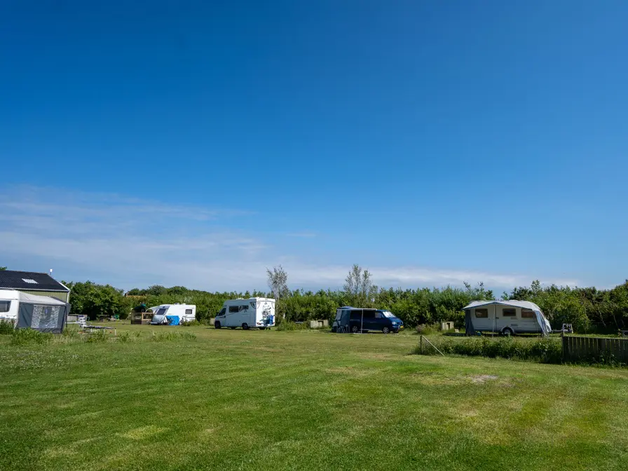 Minicamping Anemoone