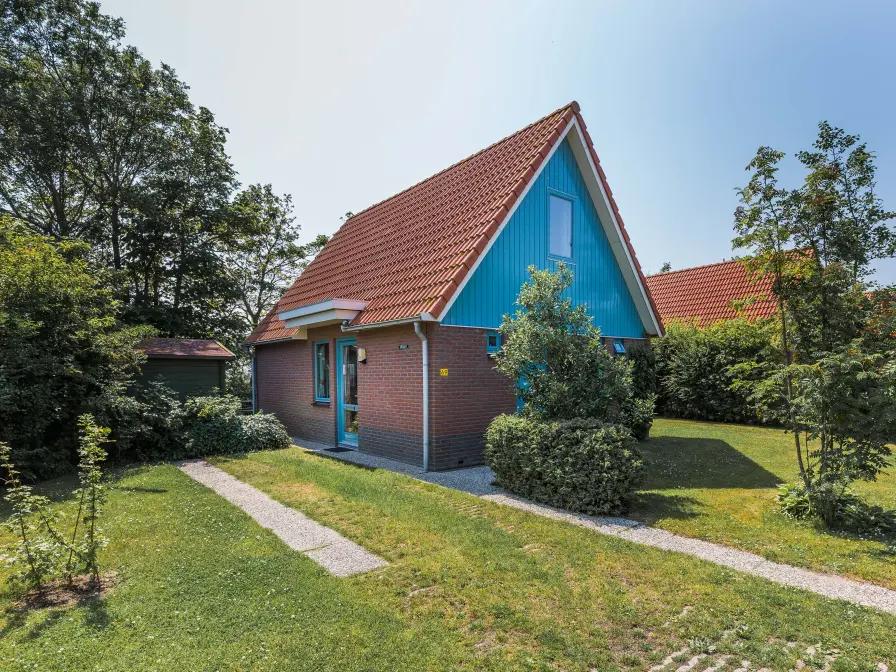 Type II - nr. 69 Gierzwaluw