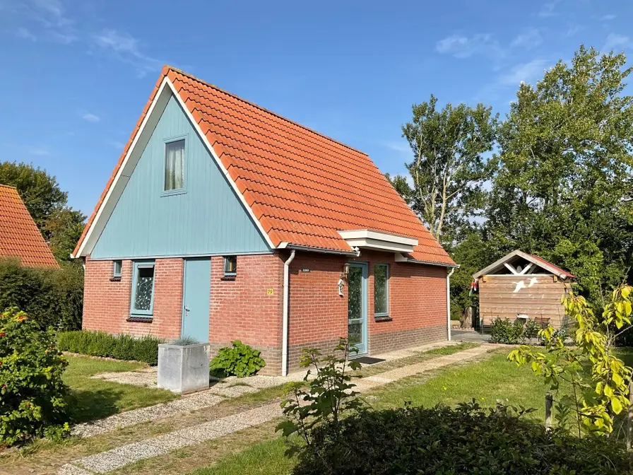 Type II - nr. 79 Zilvermeeuw